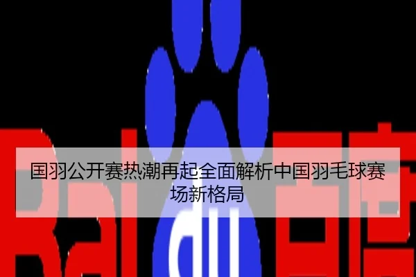 国羽公开赛热潮再起全面解析中国羽毛球赛场新格局